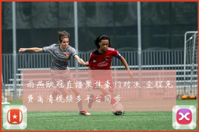 雨燕欧冠直播聚焦豪门对决 全程免费高清视频多平台同步