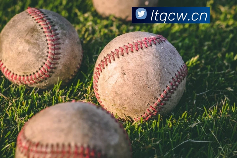 巅峰国标pg官网入口发展历程